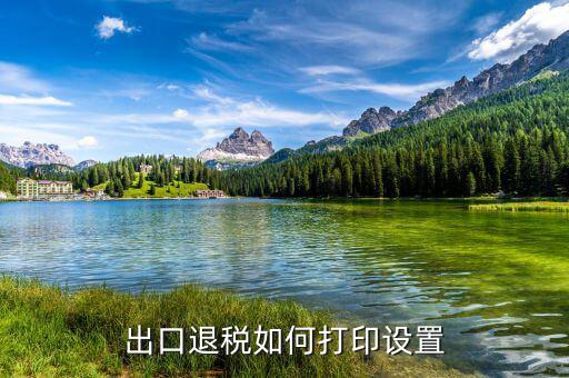 如何打印出口退稅備案表，出口退稅系統(tǒng)內(nèi)的增值稅申報(bào)表如何打印
