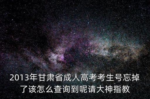 甘肅省如何查號，2013年甘肅省成人高考考生號忘掉了該怎么查詢到呢請大神指教