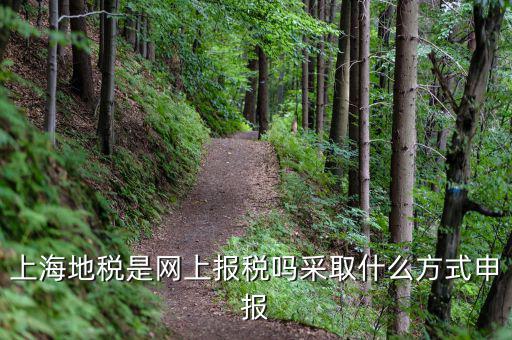上海地稅是網上報稅嗎采取什么方式申報