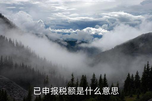 武漢稅務(wù)年報(bào)是什么意思，報(bào)告年度所得稅什么意思