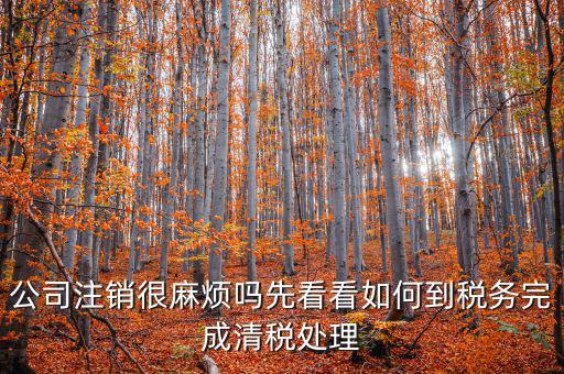 如何完成注銷(xiāo)清稅，如何注銷(xiāo)稅戶(hù)