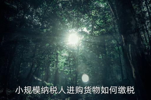 小規(guī)模納稅人如何交稅，小規(guī)模納稅人進購貨物如何繳稅