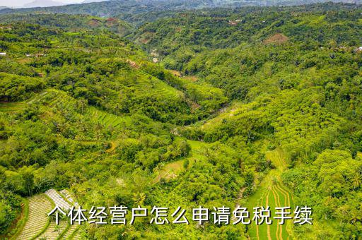 如何申請個體工商戶免稅，個體經營戶怎么申請免稅手續(xù)