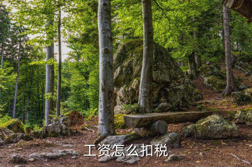 工資如何繳稅，工資納稅怎么交法