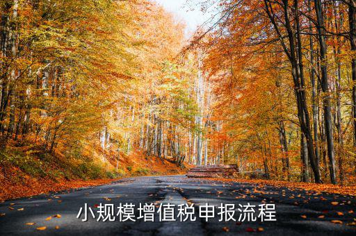 小規(guī)模納稅人 如何申報，小規(guī)模增值稅申報流程