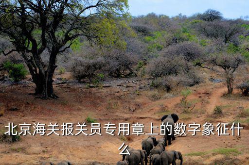 報(bào)關(guān)專用章數(shù)字是什么意思，報(bào)關(guān)專用章上面有一串?dāng)?shù)字是什么意思