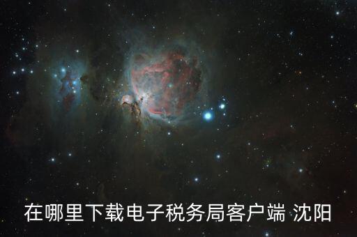 在哪里下載電子稅務局客戶端 沈陽
