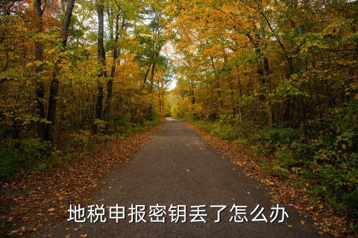 武漢地稅密鑰如何補辦，地稅報稅key掉了補辦需要什么手續(xù)要多少錢