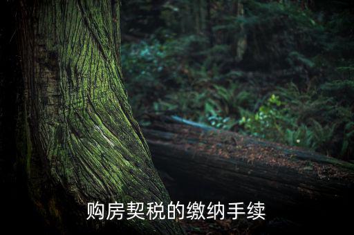 如何繳納契稅，購房契稅的繳納手續(xù)