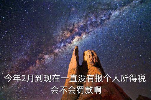 個稅申報(bào)不報(bào)會如何，個人所得稅自行申報(bào)不去做有什么危害