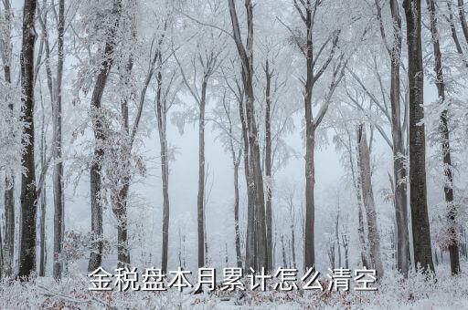 金稅盤如何清稅盤，金稅盤如何清卡解鎖