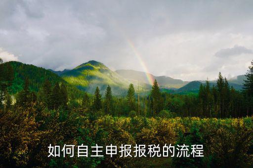 如何進(jìn)行稅務(wù)申報(bào)，個(gè)體戶如何申報(bào)稅