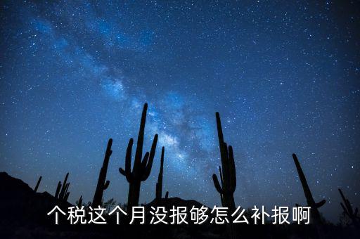 如何補報個人所得稅，個人所得稅報錯了怎么補報