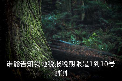 地稅的報稅期是什么時候，地稅中的年度財務報表申報期限是什么時候