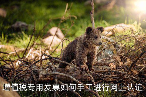 如何手工認(rèn)證發(fā)票，網(wǎng)上發(fā)票認(rèn)證怎么手工輸入