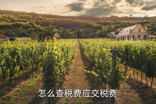 如何查詢已繳稅款，用友具體項目已交稅金在哪里查詢