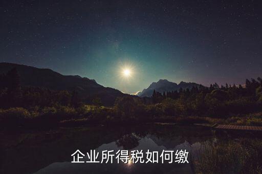 企業(yè)所得稅如何繳稅，企業(yè)所得稅如何繳納