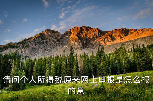 個人所得稅如何網(wǎng)上申報，個人所得稅網(wǎng)上申報流程