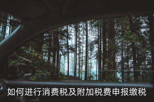 附加稅如何才能申報，如何進(jìn)行消費(fèi)稅及附加稅費(fèi)申報繳稅