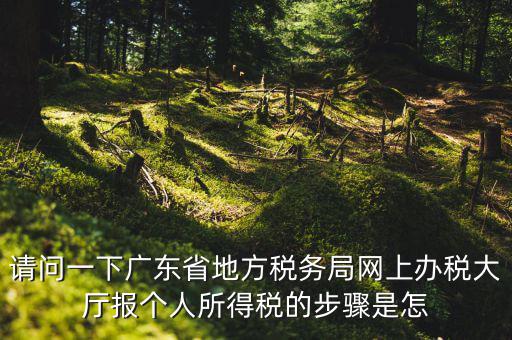 廣州地稅如何網(wǎng)上申報，想請教如何辦理廣州地稅網(wǎng)上申報