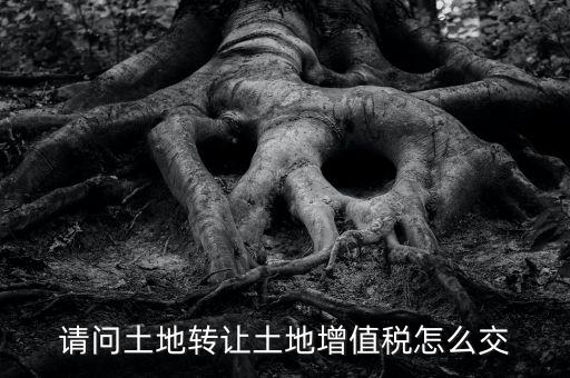 土地增值稅如何繳納，請(qǐng)問(wèn)土地轉(zhuǎn)讓土地增值稅怎么交