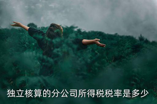 獨(dú)立核算的分公司如何納稅，誰知道獨(dú)立核算的同城分公司如何繳稅
