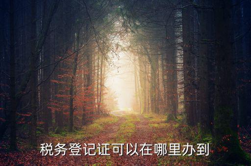 如何辦理稅種登記，辦好營(yíng)業(yè)執(zhí)照后怎么辦理稅務(wù)登記證