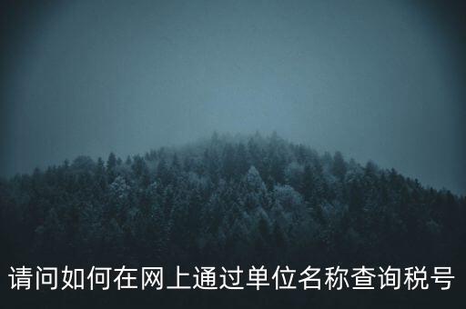 請問如何在網上通過單位名稱查詢稅號