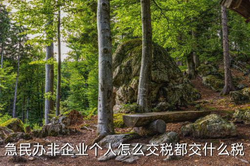 民非企業(yè)如何納稅申報(bào)，民辦非企業(yè)單位如何繳納個(gè)人所得稅