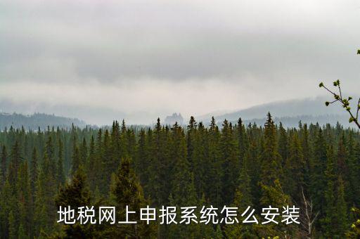 地稅網上申報系統(tǒng)怎么安裝