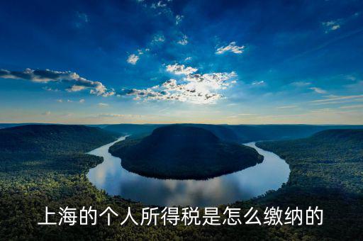 上海個(gè)人所得稅如何繳納，上海個(gè)人所得稅的繳納急