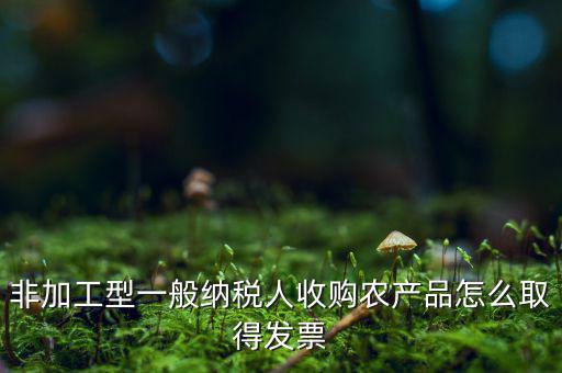 農(nóng)產(chǎn)品收購(gòu)發(fā)票如何，農(nóng)產(chǎn)品收購(gòu)發(fā)票如何開