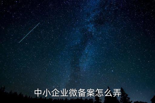 小型微型企業(yè)如何備案，小型微型企業(yè)登記備案