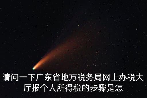 請問一下廣東省地方稅務局網上辦稅大廳報個人所得稅的步驟是怎