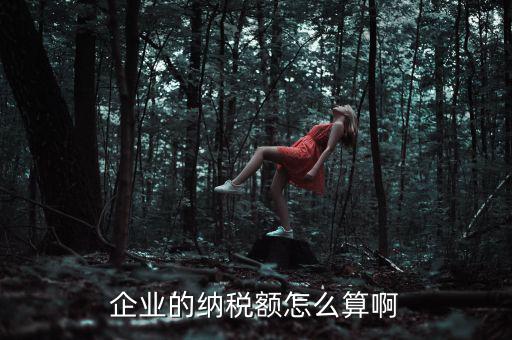 企業(yè)納稅如何計(jì)算，企業(yè)的納稅額怎么算啊