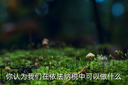 如何做到依法納稅，你認(rèn)為我們在依法納稅中可以做什么