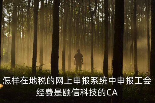 工會經(jīng)費如何網(wǎng)上申報，怎樣在地稅的網(wǎng)上申報系統(tǒng)中申報工會經(jīng)費是頤信科技的CA