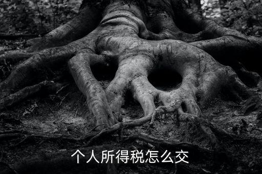 個人所得稅如何繳納，個人所得稅怎么繳納