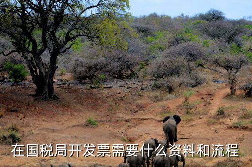 國(guó)稅局批票如何辦理，在國(guó)稅局開(kāi)發(fā)票需要什么資料和流程