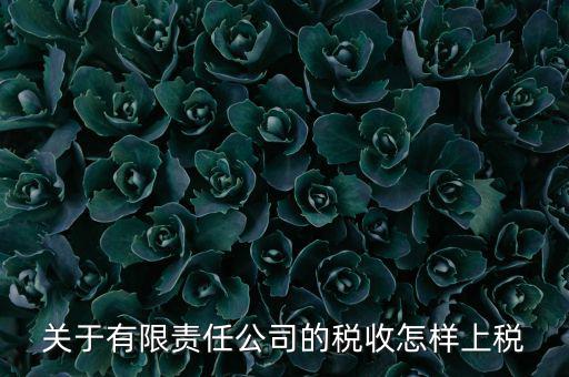有限責任公司如何繳稅，有限責任公司是如何納稅的要繳納的稅種都有哪些