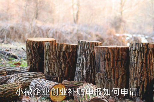 小型微利企業(yè)如何申請社保補貼，小微企業(yè)補貼怎么申請
