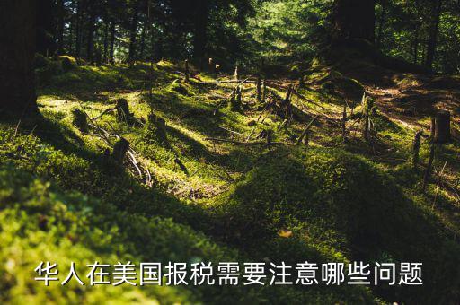 華人在美國報(bào)稅需要注意哪些問題