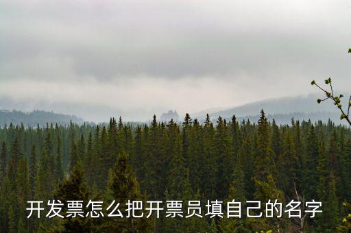 開(kāi)發(fā)票怎么把開(kāi)票員填自己的名字