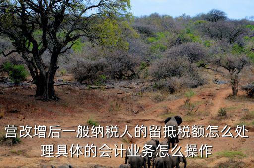 營(yíng)改增后一般納稅人的留抵稅額怎么處理具體的會(huì)計(jì)業(yè)務(wù)怎么操作