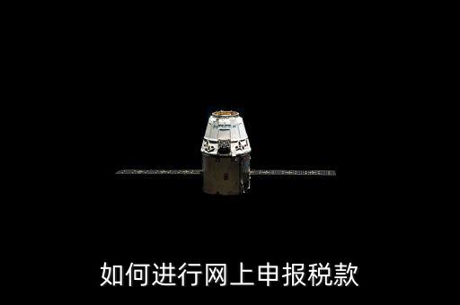 如何進(jìn)行網(wǎng)上申報稅款