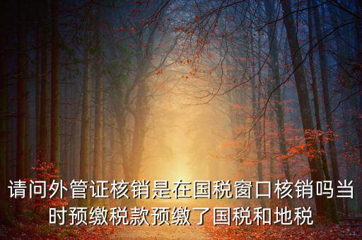 外管證如何核銷，發(fā)票已開外管證丟了怎么核銷