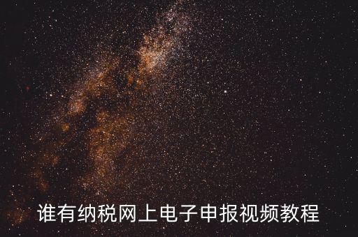 如何網(wǎng)上報(bào)稅視頻，誰有納稅網(wǎng)上電子申報(bào)視頻教程