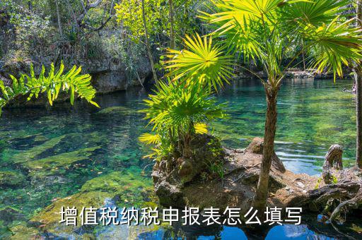 如何填寫增值稅納稅申報表，增值稅申報表如何填寫