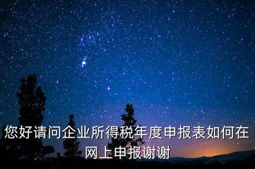 公司如何網(wǎng)絡(luò)申報(bào)表，新手請教企業(yè)所得稅年度納稅申報(bào)表在網(wǎng)上如何申報(bào)