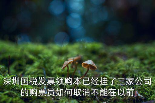 如何取消稅務局購票人，國稅如何刪除購票人